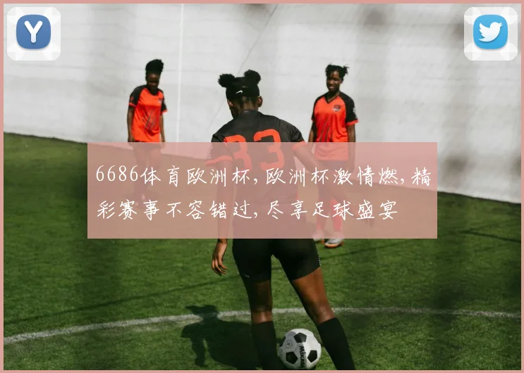 6686体育欧洲杯,欧洲杯激情燃,精彩赛事不容错过,尽享足球盛宴