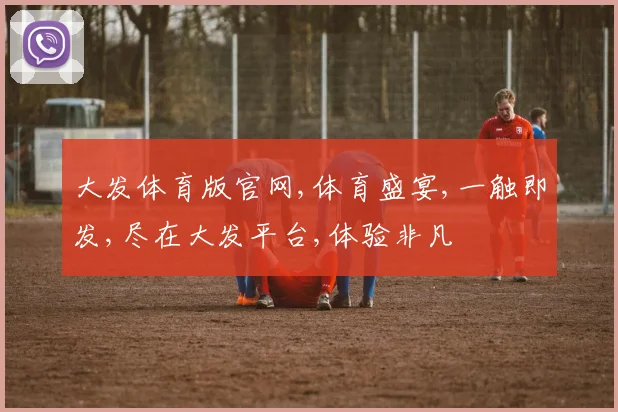 大发体育版官网,体育盛宴,一触即发,尽在大发平台,体验非凡