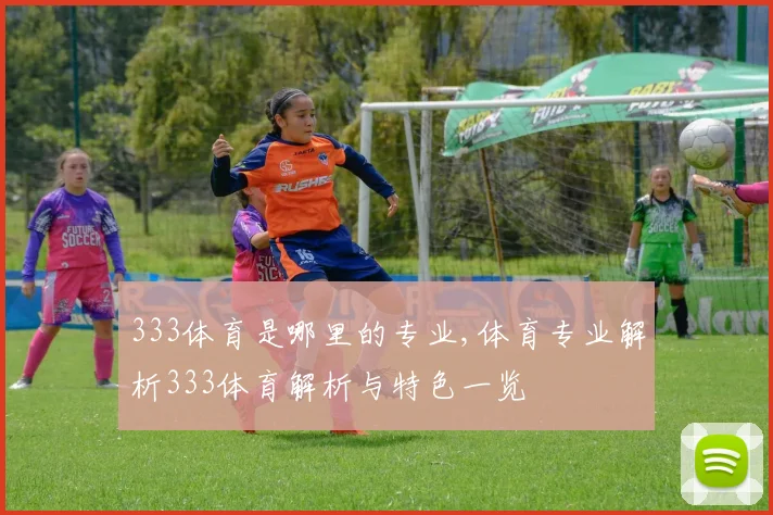 333体育是哪里的专业,体育专业解析333体育解析与特色一览